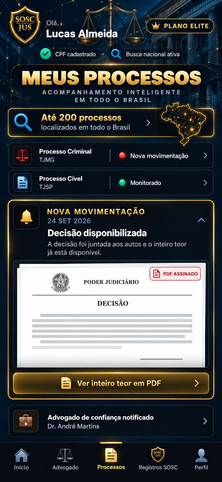 Tela original Meus Processos do usuário